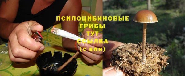 трава Волоколамск