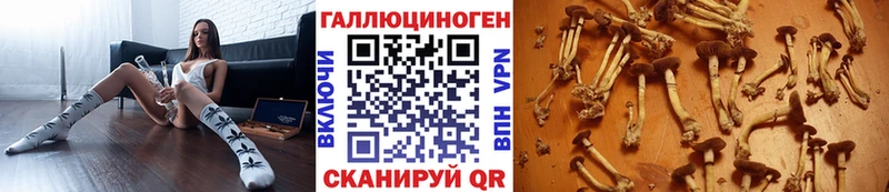 Псилоцибиновые грибы ЛСД купить закладку kraken онион Вичуга